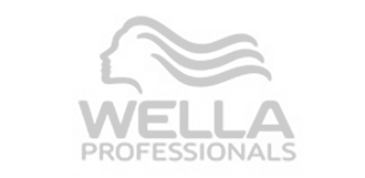 bibaacademy-well-professonal